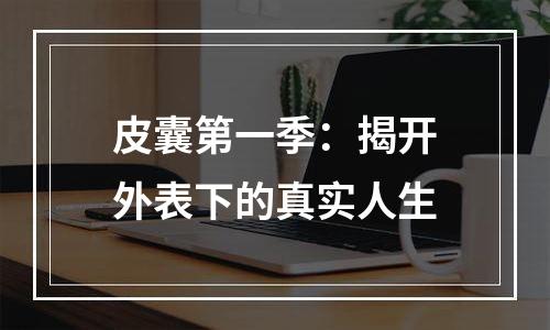皮囊第一季：揭开外表下的真实人生