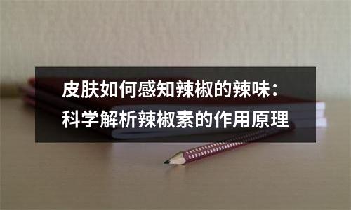 皮肤如何感知辣椒的辣味：科学解析辣椒素的作用原理