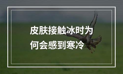 皮肤接触冰时为何会感到寒冷