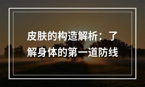 皮肤的构造解析：了解身体的第一道防线