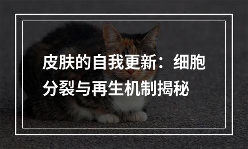 皮肤的自我更新：细胞分裂与再生机制揭秘