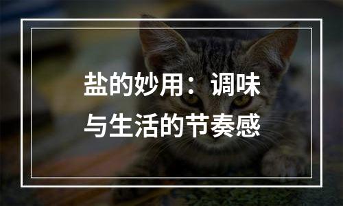 盐的妙用：调味与生活的节奏感