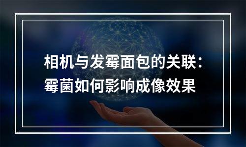 相机与发霉面包的关联：霉菌如何影响成像效果