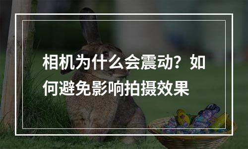 相机为什么会震动？如何避免影响拍摄效果
