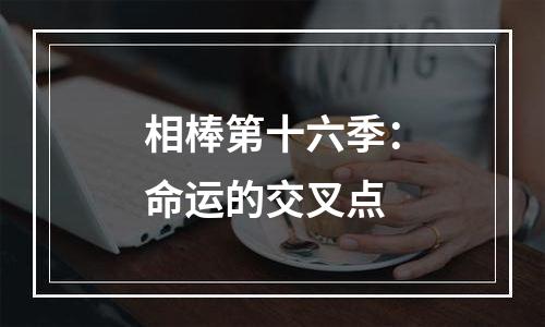 相棒第十六季：命运的交叉点