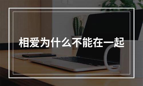 相爱为什么不能在一起