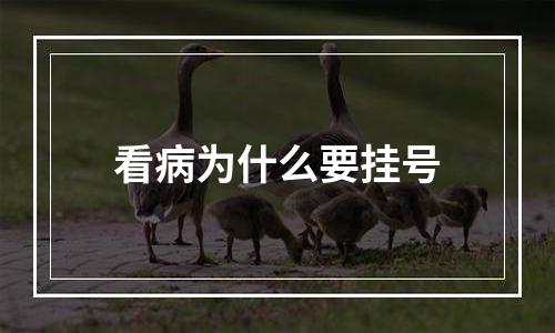 看病为什么要挂号