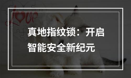 真地指纹锁：开启智能安全新纪元