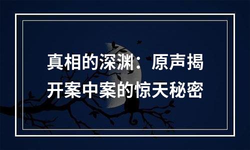 真相的深渊：原声揭开案中案的惊天秘密