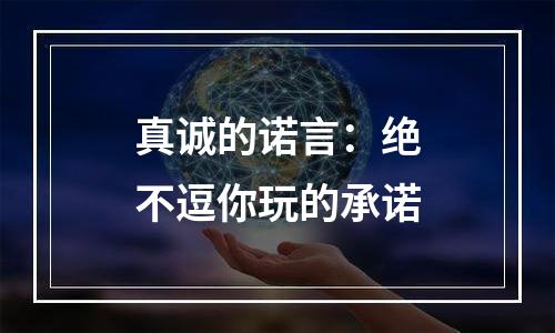 真诚的诺言：绝不逗你玩的承诺