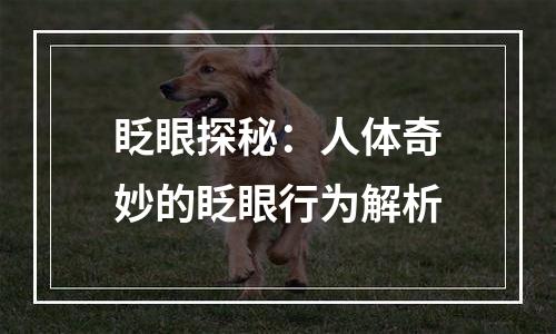眨眼探秘：人体奇妙的眨眼行为解析
