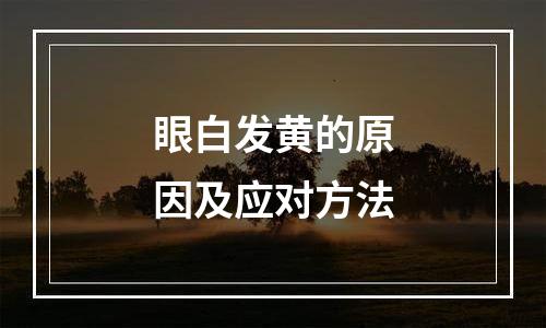 眼白发黄的原因及应对方法