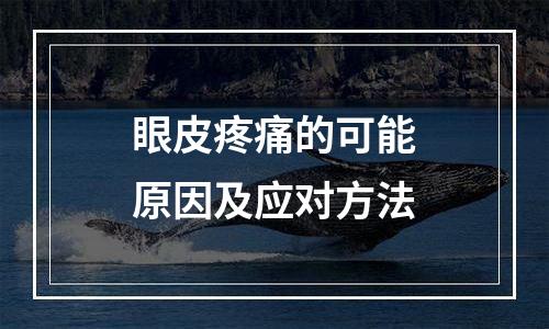眼皮疼痛的可能原因及应对方法