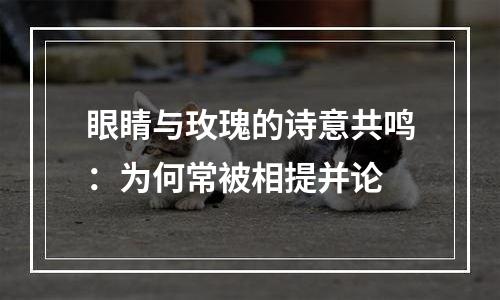 眼睛与玫瑰的诗意共鸣：为何常被相提并论