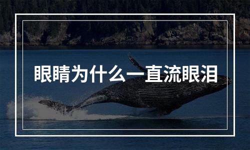 眼睛为什么一直流眼泪