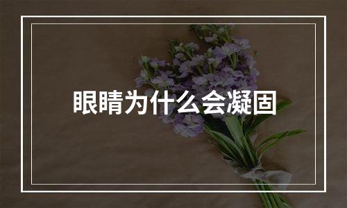 眼睛为什么会凝固