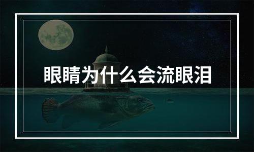 眼睛为什么会流眼泪