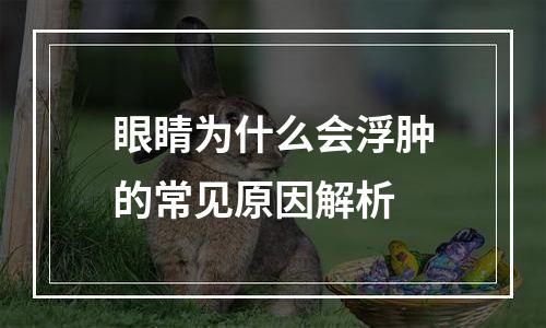 眼睛为什么会浮肿的常见原因解析