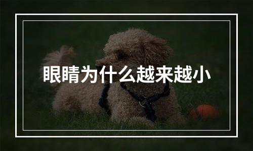 眼睛为什么越来越小