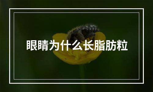 眼睛为什么长脂肪粒