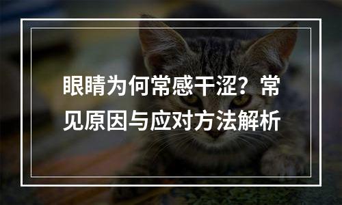 眼睛为何常感干涩？常见原因与应对方法解析