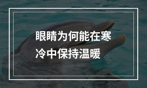 眼睛为何能在寒冷中保持温暖
