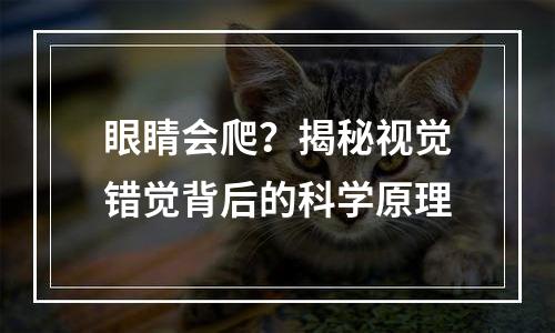 眼睛会爬？揭秘视觉错觉背后的科学原理