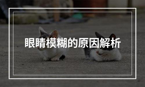 眼睛模糊的原因解析