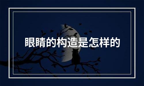 眼睛的构造是怎样的