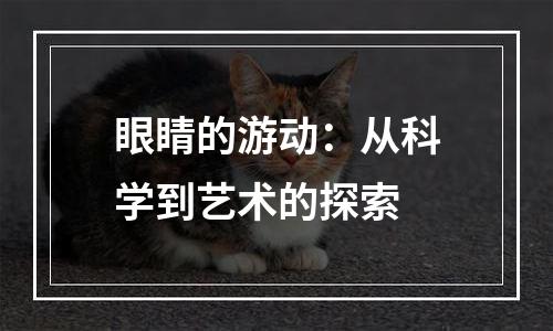 眼睛的游动：从科学到艺术的探索
