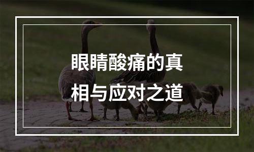 眼睛酸痛的真相与应对之道