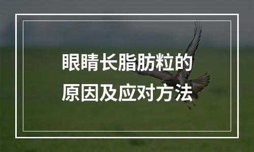 眼睛长脂肪粒的原因及应对方法