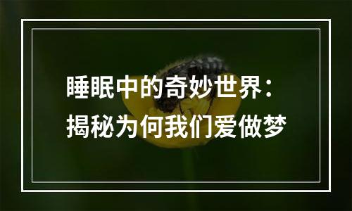 睡眠中的奇妙世界：揭秘为何我们爱做梦