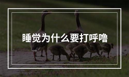 睡觉为什么要打呼噜
