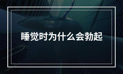 睡觉时为什么会勃起