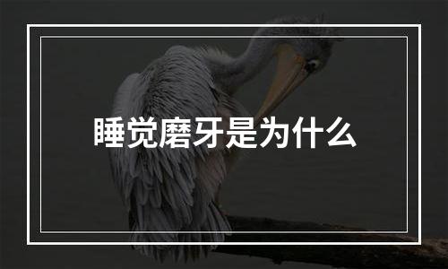 睡觉磨牙是为什么