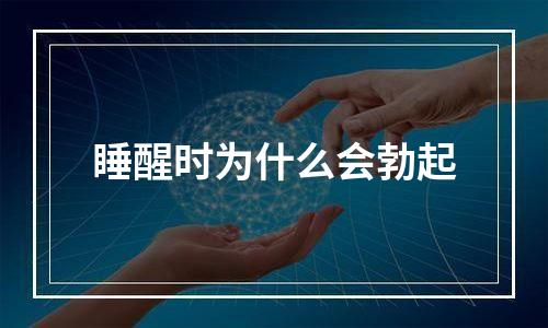 睡醒时为什么会勃起