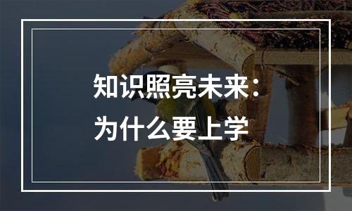 知识照亮未来：为什么要上学