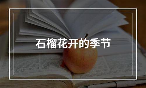 石榴花开的季节