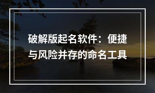 破解版起名软件：便捷与风险并存的命名工具