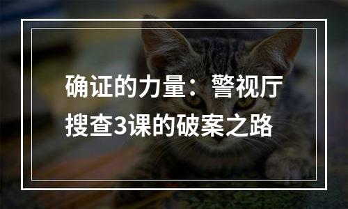 确证的力量：警视厅搜查3课的破案之路