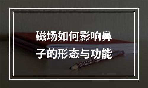 磁场如何影响鼻子的形态与功能