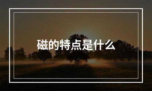 磁的特点是什么