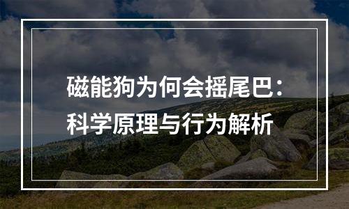 磁能狗为何会摇尾巴：科学原理与行为解析