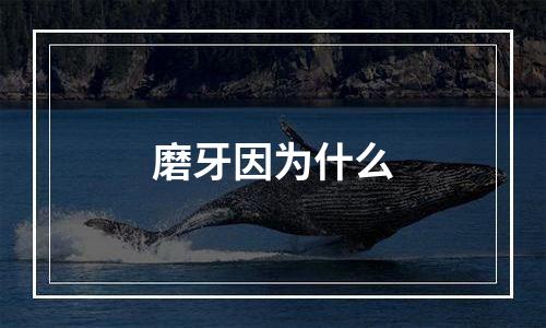 磨牙因为什么