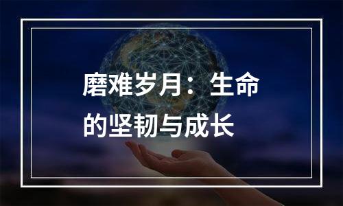 磨难岁月：生命的坚韧与成长