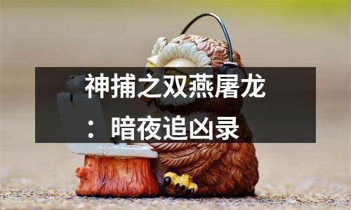 神捕之双燕屠龙：暗夜追凶录