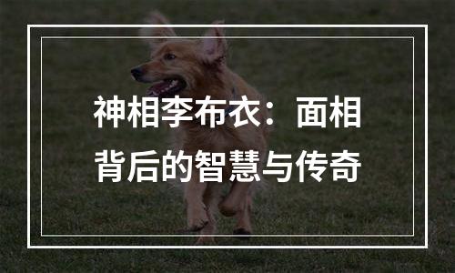 神相李布衣：面相背后的智慧与传奇