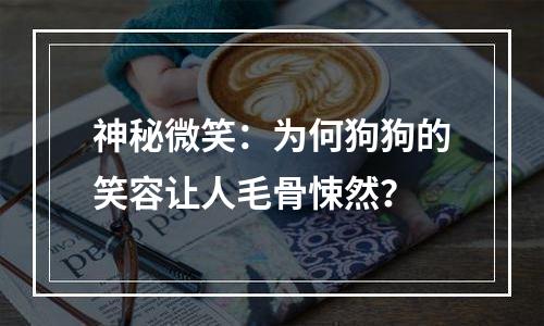 神秘微笑：为何狗狗的笑容让人毛骨悚然？