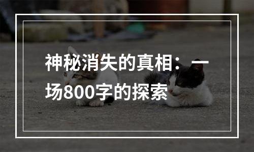 神秘消失的真相：一场800字的探索